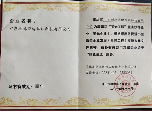 OD体育荣获政府重点扶持企业